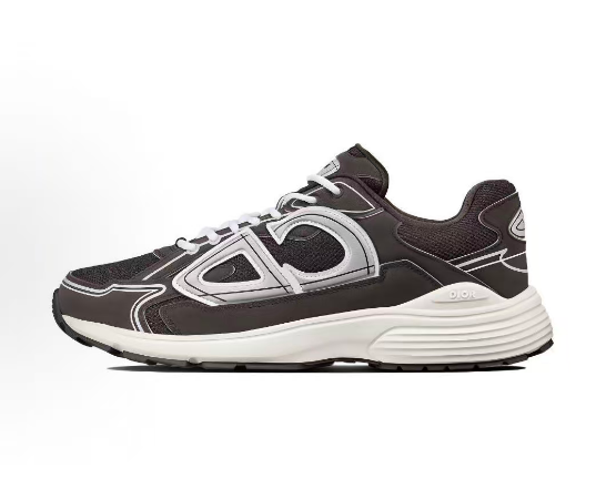 Dior B30 Sneaker Brown and White